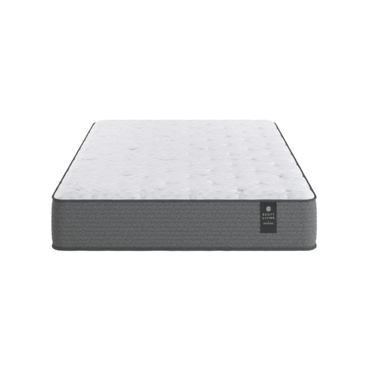 Anniversary Firm Mattress Anniversary Firm Mattress - Image 1